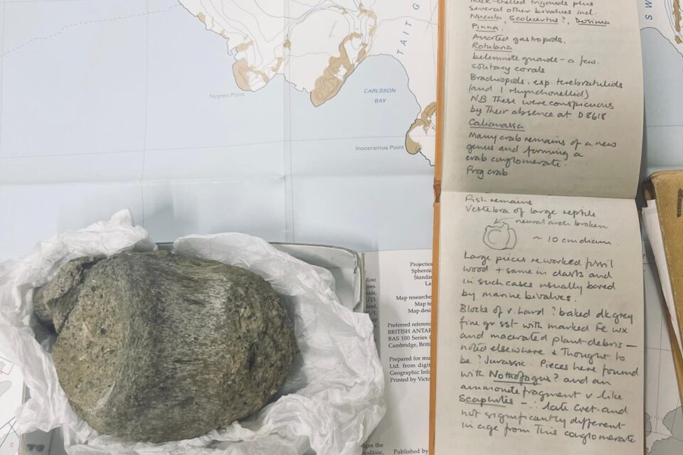 Caderno de campo e vértebra fóssil do primeiro dinossauro encontrado na Antártida