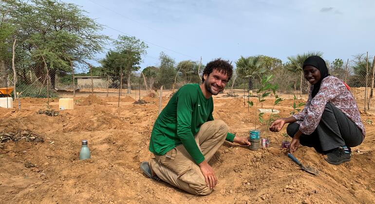 Empreendedorismo verde: como jovens estão transformando a restauração de terras em negócios lucrativos