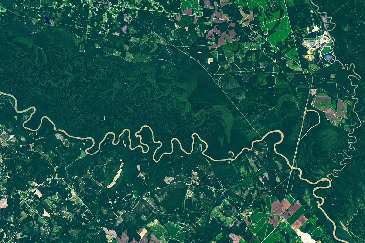 Satélite Landsat revela como as cheias sustentam a floresta do Parque Congaree