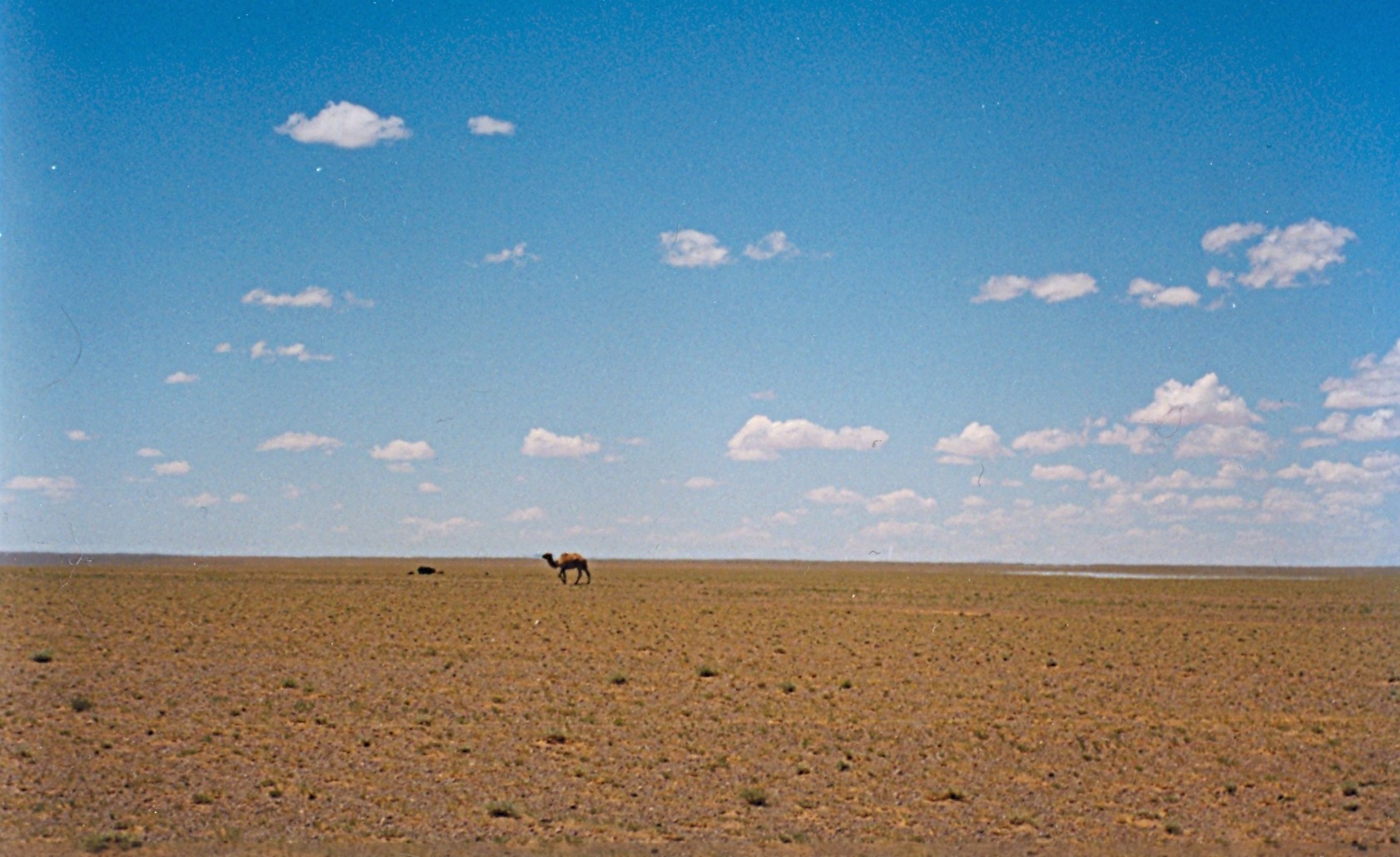 COP17 encerra encontro na Mongólia com US$ 1,3 bilhão anunciado para restauração de terras