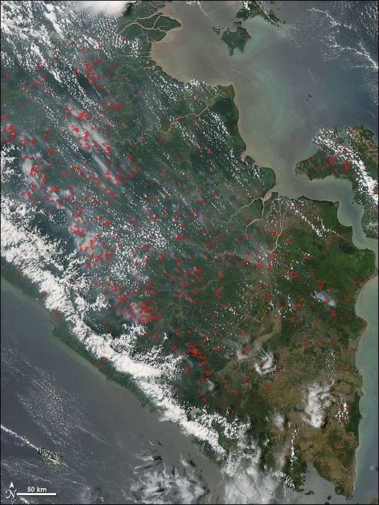 Incêndios na Indonésia elevam emissões ao maior nível mundial e fecham escolas