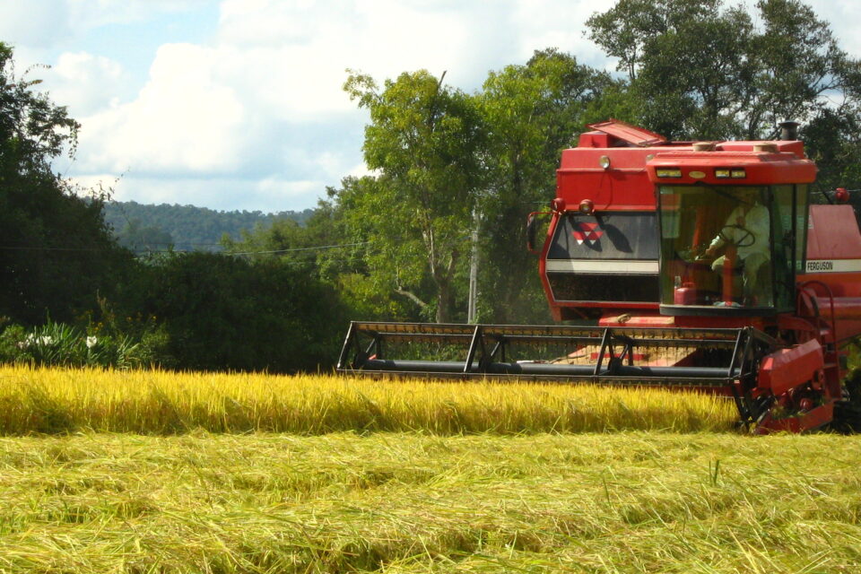 Combine harvester in a rice field in southern Brazil